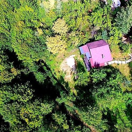 Mystically Wood House In The Forest Carjari Exterior foto
